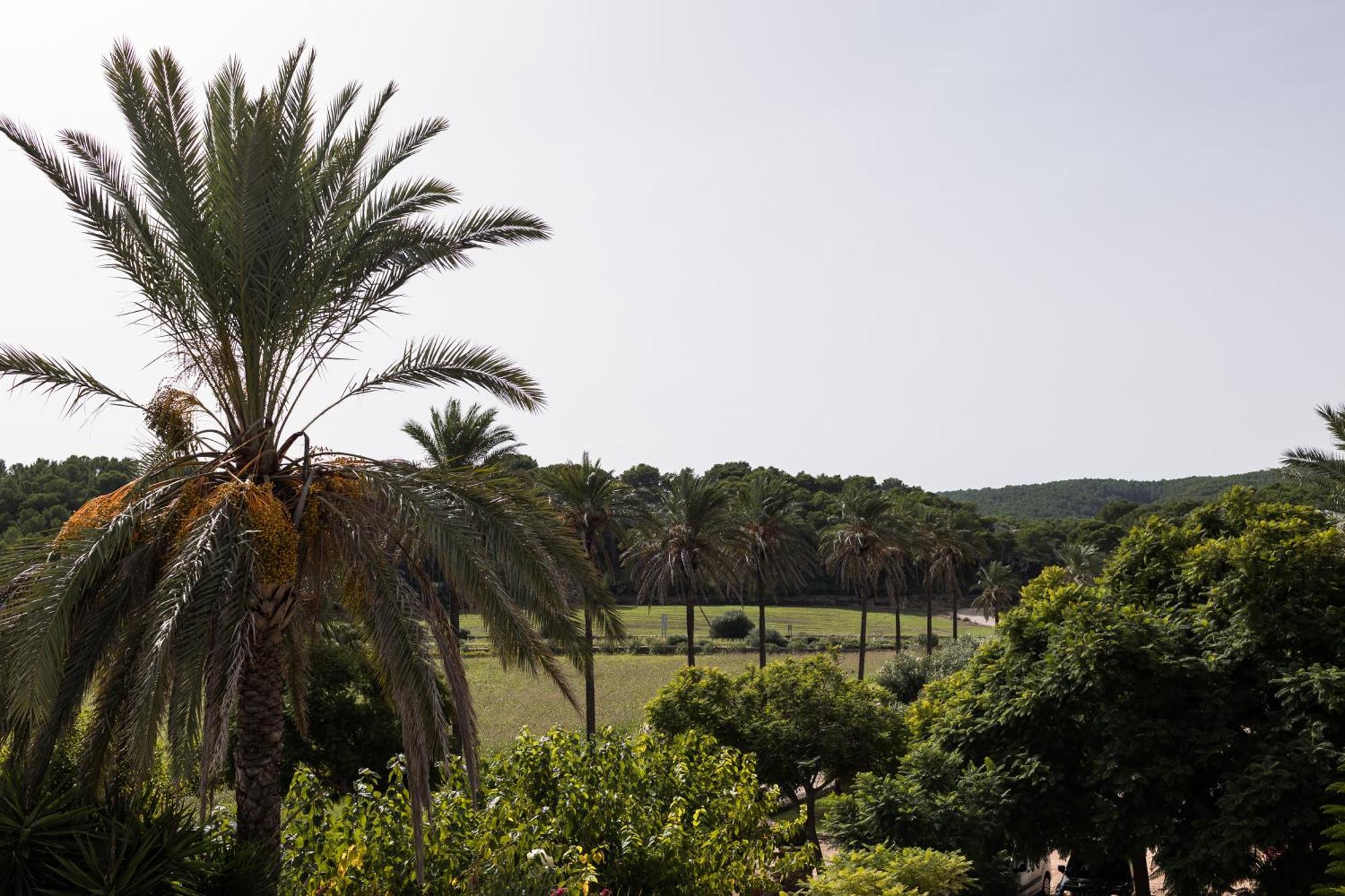 Llucatx Menorca Hotel Son Parc Quarto foto